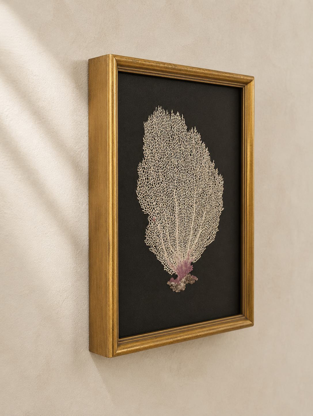FRAMED NATURAL GORGONIAN CORAL