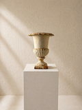 COPA DE HIERRO FRANCESA C.1900
